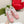 GG TRAINER LIGHT PINK CALFSKIN