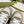 GG TRAINER GRAY AND CREAMY WHITE CALFSKIN
