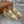 lp dot sole walk loafer beige suede