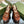 GG 120 INTERLOCKING G SANDAL CARAMEL CALFSKIN