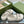 GG INTERLOCKING G CUT OUT SANDAL WHITE LAMBSKIN