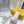 FENDI BAGUETTE SLIPPERS IN WHITE LAMBSKIN WITH GOLD HARDWARE