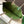 st louis pm 48cm greige and green tote bag