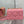 miss caro mini 18 pink calfskin