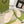 GC 25 Interlocking G 50mm Slide Sandal Ivory Cowhide 292379
