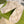 GC 25 Interlocking G 50mm Slide Sandal Monogram Beige Cowhide 292389