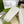 GC 25 Interlocking G 50mm Slide Sandal Beige Black Cowhide 292398