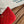 cc zipped wallet 14cm red caviar gold hardware
