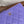 cc zipped wallet 15 purple caviar gold hardware