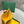 SAINT-SULPICE CARD WALLET 10 IN YELLOW GOYARDINE CANVAS AND CALFSKIN