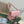 Serpenti Forever East-West Shoulder Bag 22cm Light Pink Cafskin GHW 188494