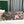 SAINT LOUIS PM BAG 34 IN PINK LETTRES CAMOUFLAGE GOYARDINE CANVAS