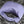 bv teen jodie 36cm purple lambskin