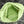 bv teen jodie 36cm light green lambskin