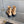 CC Cap Toe Ankle Boots Black Beige Cowhide 464571