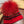 SET SCARF AND HAT IN CHERRY RED WOOL AND CASHMERE 945029