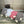SET SCARF AND HAT IN BLACK MIX WHITE WOOL AND CASHMERE 946332