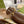 GG Princetown Slipper Brown Calfskin Tuscan Wool