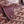 AMBASSADE DOCUMENT CASE 35 IN WINE RED GOYARDINE CANVAS