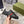 GG ACE GG SUPREME TRAINER BLACK CALFSKIN WITH PATTERNS