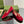 BLONDIE LOGO-PLAQUE LOAFERS IN CRIMSON RED SUEDE