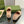 BLONDIE LOGO-PLAQUE LOAFERS IN ECRU BEIGE SUEDE