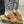 GG ACE GG SUPREME TRAINER TAWNY CALFSKIN