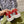 GG ACE GG SUPREME TRAINER SILVER CALFSKIN