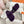 chypre sandal purple lamb wool