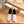 Loew Anagram Espadrille Ivory Black Leather