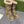 Gucci 2025 Monogram Boot Ebony Beige Canvas Wool 564788