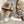 UGG Casual Sports Sneakers Brown White Suede Wool Rubber 512824