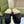 GG MOLLY MULE IN BLACK MONOGRAM JACQUARD FABRIC AND SHEARLING LINING