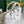 AMBASSADE DOCUMENT CASE 35 IN WHITE GOYARDINE CANVAS