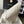 cc 22 hobo white calfskin silver hardware