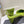 PRA SQUARE TOE MULES PEAR SATIN