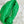 mini jodie 28 green lambskin