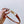 Hook & Loop 20mm TRIOMPHE Logo Square Adjustable Belt Tan Calfskin Ghw