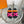 Chypre Sandal Rose Chapas / Orange Suede
