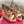 GARAVANI ROCKSTUD WEDGE SANDALS IN BRONZE BROWN CALFSKIN AND BEIGE RAFFIA