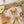 SIDE TRUNK 21 IN WHITE BROWN MONOGRAM CANVAS GOLD HARDWARE