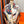 Carré Harnais De Cœur Scarf 90 CM In Colorful Silk  236222