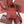 SMALL 21 BALE BAG IN MARS RED GRAINED CALFSKIN WITH GOLD HARDWARE