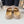 SPEED 2.0 SLIDE SANDAL IN BEIGE RECYCLED KNIT
