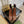 GG Horsebit Ankle Boot 95 Brown Calfskin