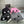 SET HAT AND SCARF IN BLACK MIX BRIGHT PINK WOOL 422596