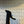 CD Tribales Pump 75mm In Black Suede 996955
