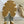 CD Chrono Sneaker In Light Brown And Ivory White Mesh Fabric And Suede 105379