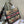 CD Kapok Book Tote 36cm Bag Canvas 336552