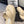 CC Thong Slippers In Ivory White Lambskin 147047